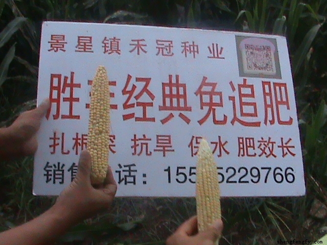 東北回訪